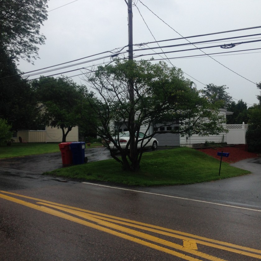 320 Spear Street as it appears today. Notice how narrow the roadway is, causing all the cards to be towed. Gig was in backyard facing Interstate 89.